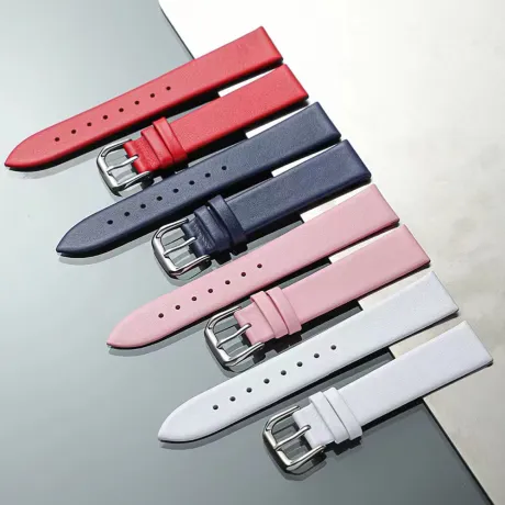 Bracelets De Montre (Plusieurs Couleurs)
