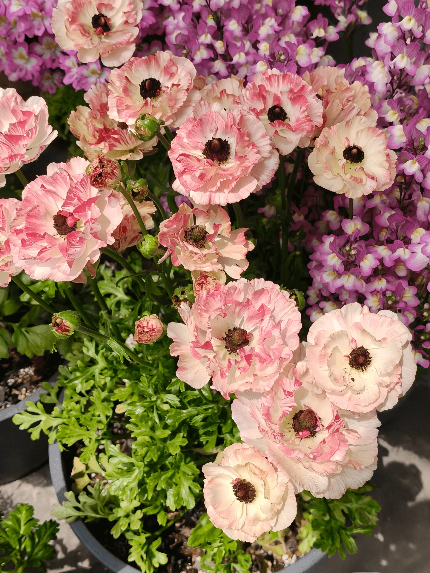 Best-Selling Flowers