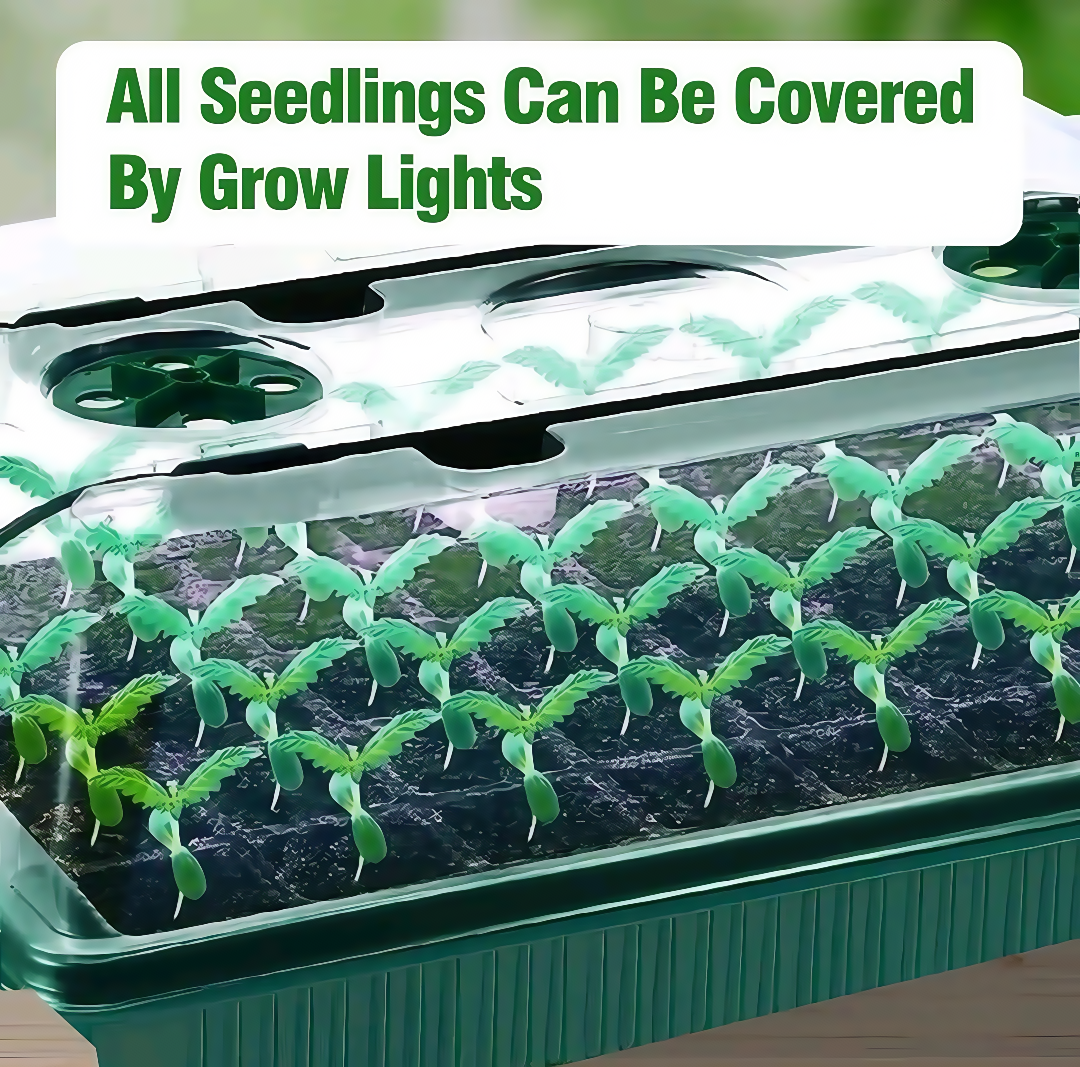 Indoor Seed Starting Kit – 40-Cell Plant Germination Tray with Adjustable Grow Light & Dome