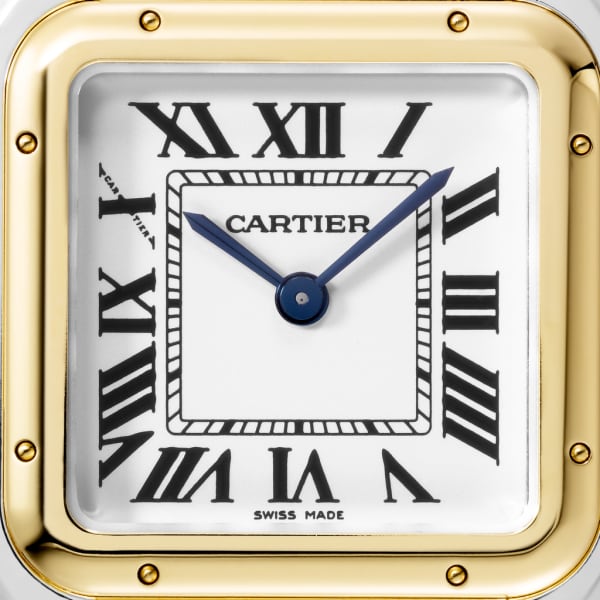 PANTHERE DE  WATCH