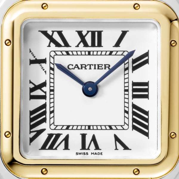 PANTHERE DE  WATCH