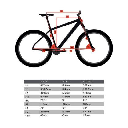 Comttgpass-Control Hybrid Bike