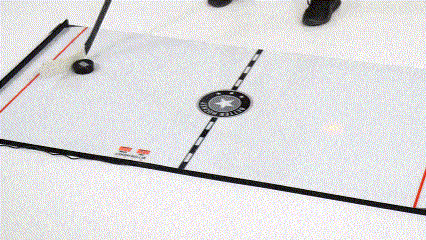 Christmas Eve Special Sale 49%! Bthtetter Hockey Extreme Game Changer