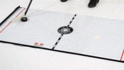 Christmas Eve Special Sale 49%! Bthtetter Hockey Extreme Game Changer