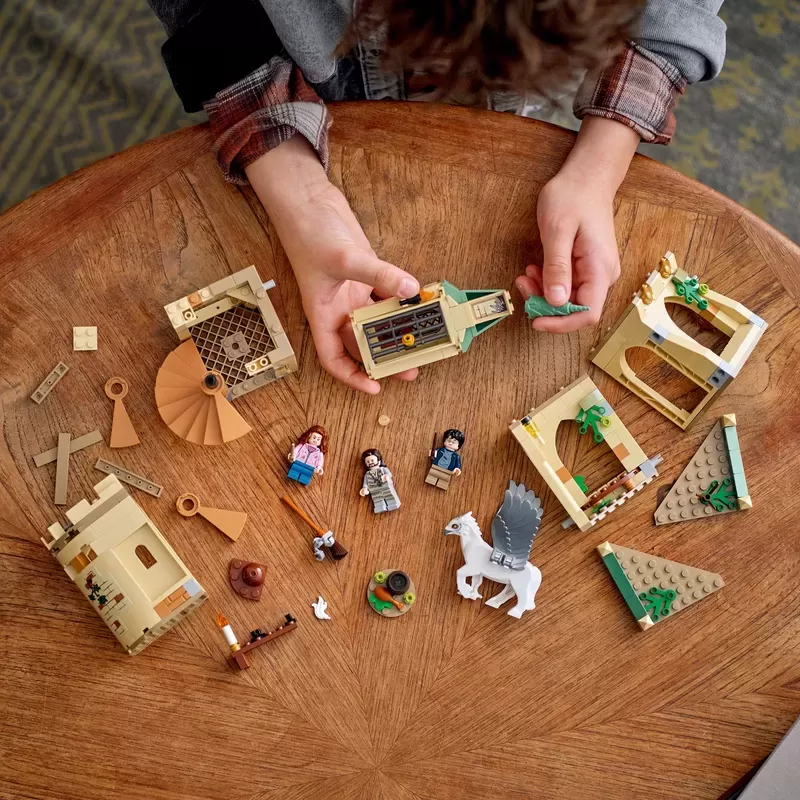 LEthtGO® 76401 HARRY POTTER??HOGWARTS??COURTYARD: SIRIUS'S RESCUE BUILDING KIT