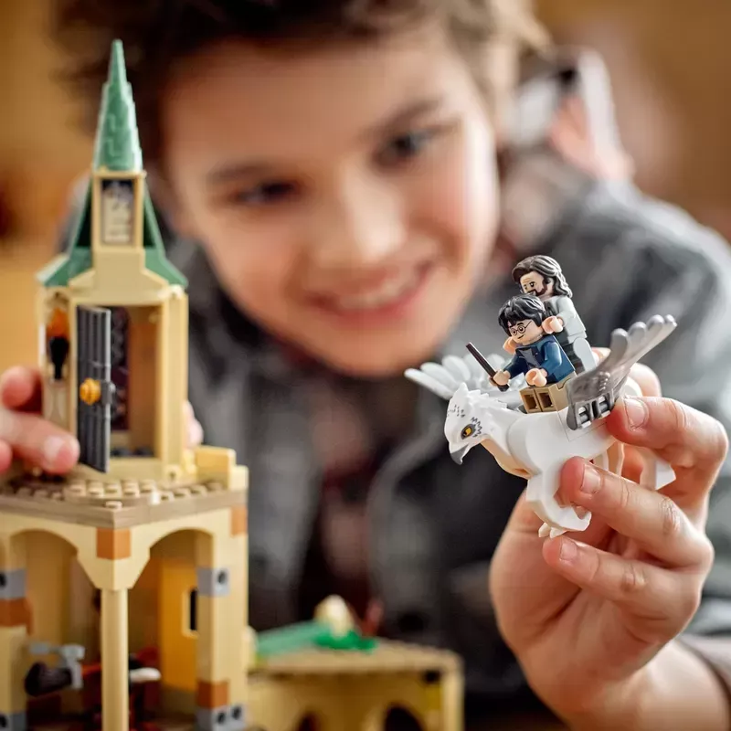 LEthtGO® 76401 HARRY POTTER??HOGWARTS??COURTYARD: SIRIUS'S RESCUE BUILDING KIT