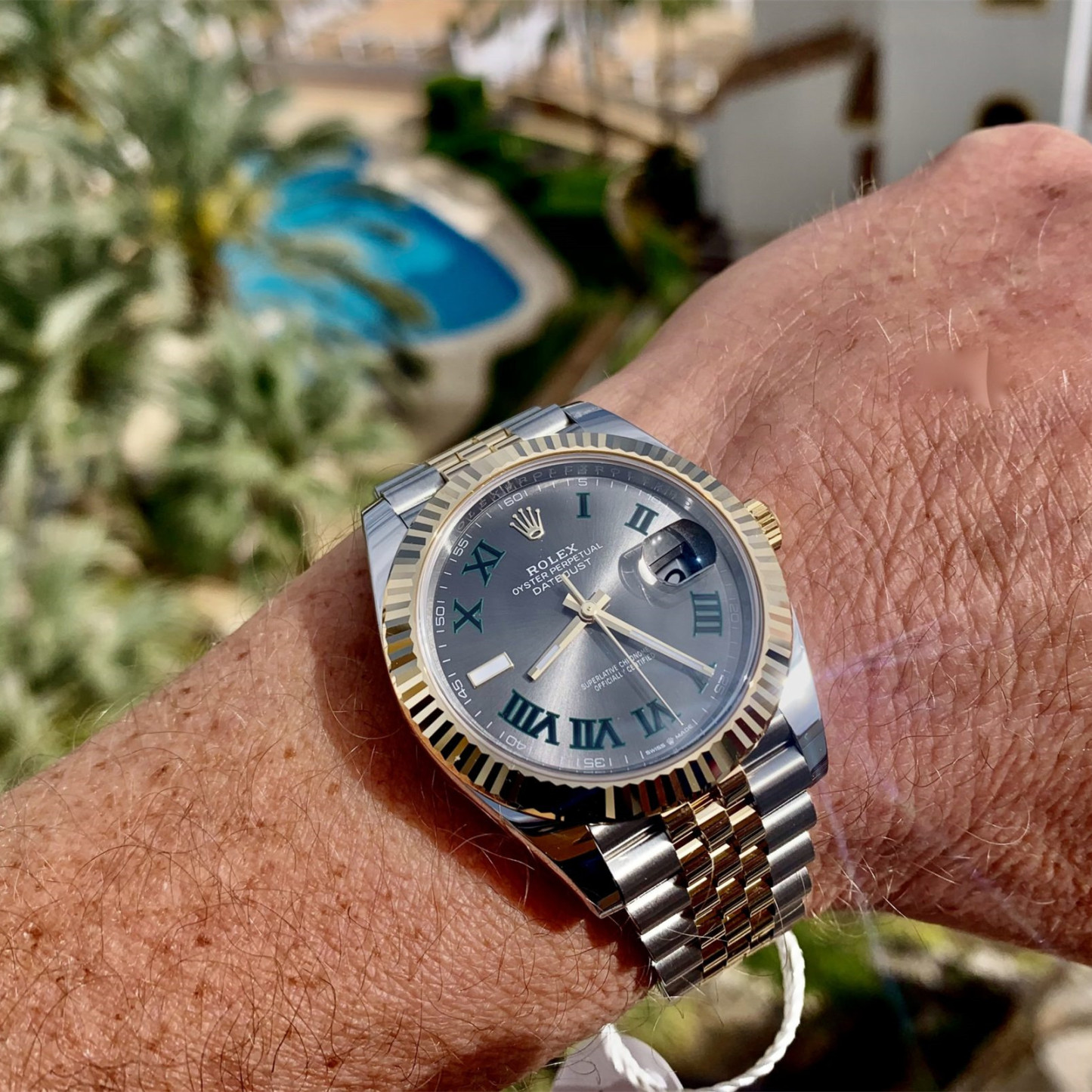 Rolthtex Datejust 41 Oystersteel and yellow gold Wimbledon - M126333-0020/126333-0019 Brand Unworn