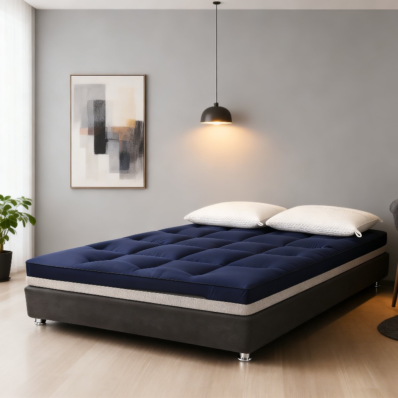 Verdickte 10 cm Federsamt weiche Matratze Sommer faltbares Studentenwohnheim Einzel-Tatami-Bettmatra