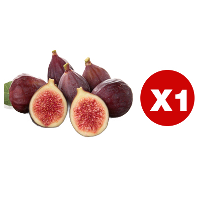 Griechische Import-Feigenbaum – Frische Früchte für den täglichen Genuss