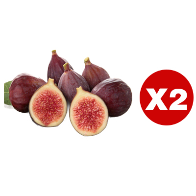 Griechische Import-Feigenbaum – Frische Früchte für den täglichen Genuss