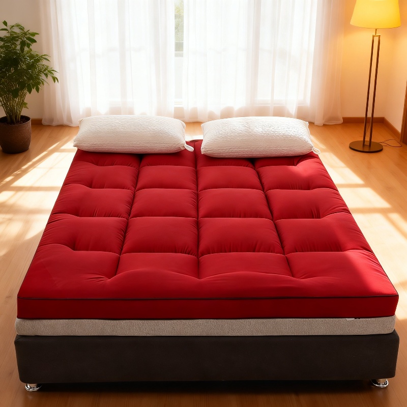 Verdickte 10 cm Federsamt weiche Matratze Sommer faltbares Studentenwohnheim Einzel-Tatami-Bettmatra