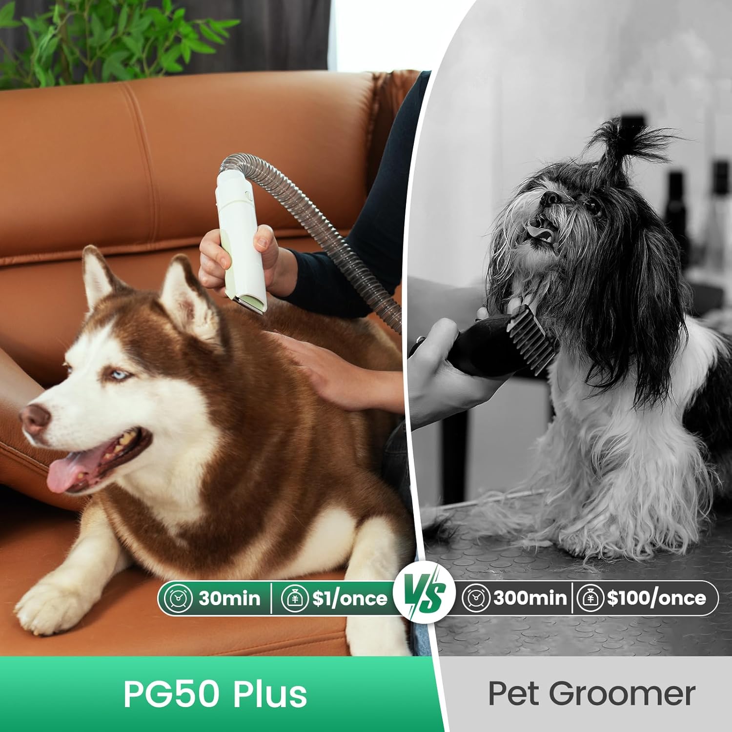 Pet Grooming Powerhouse: 7-in-1 Dog Grooming Vacuum & Clipper Kit with Nail Trimmer and 11000Pa Suction