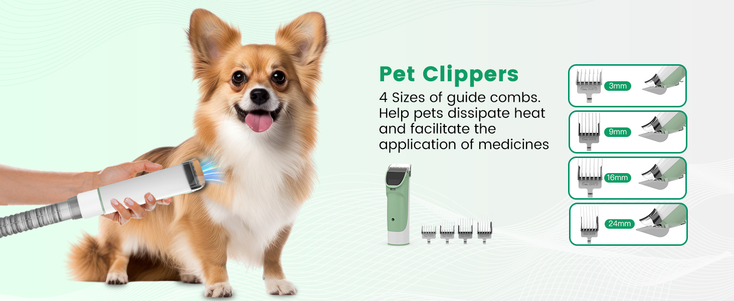 pet hair removal tool