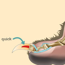 14.jpg__PID:76bc82b0-6c37-4aa9-9c64-ccd6f4122129