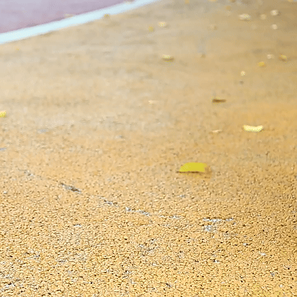 Buty męskie i damskie