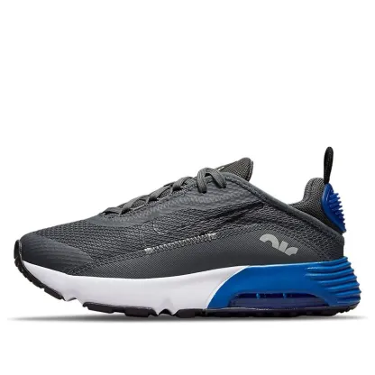 (PS) Air Max 2090 Grey/Blue CU2093-015