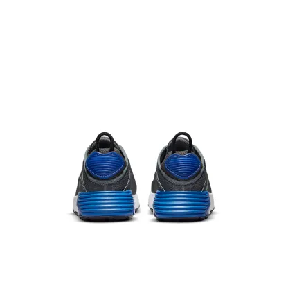 (PS) Air Max 2090 Grey/Blue CU2093-015