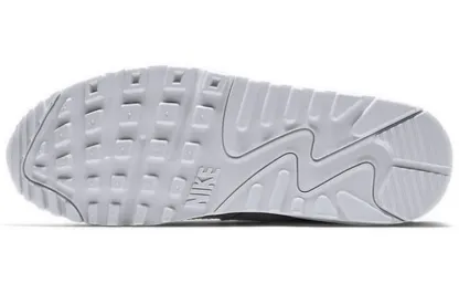 (WMNS) Air Max 90 'Metallic Pack - Chrome' CQ6639-001