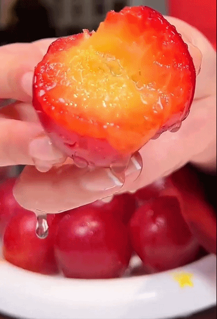 [Rare Variety 10J] Pre-grown Cherry Plum Sapling