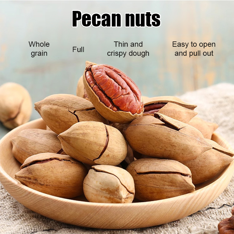 Pecan seedlings imported from the USA