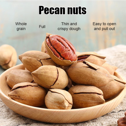 Pecan seedlings imported from the USA