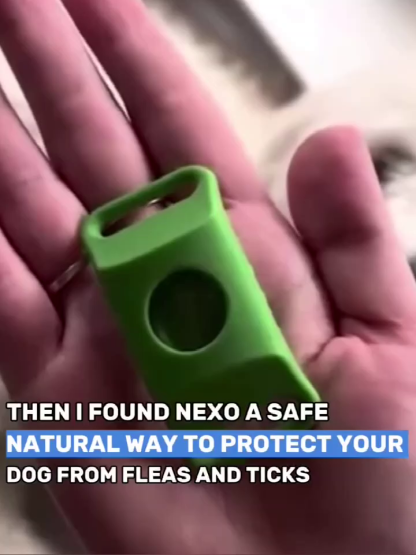 Pet anti-flea collar