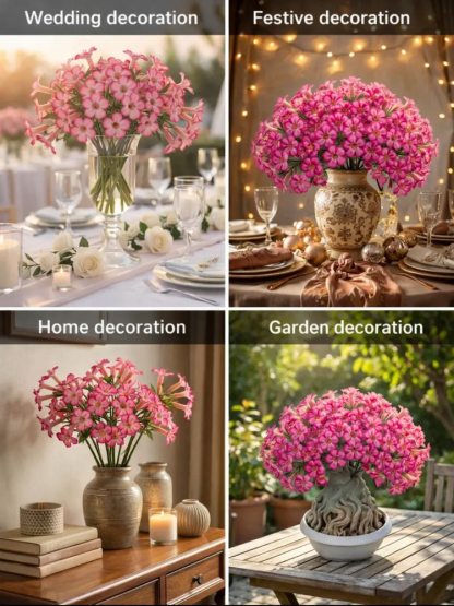 Double-flowered Desert Rose