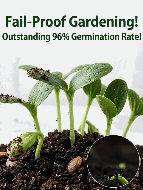 Thin Skin, Extra Juicy, Fewer Seeds, More Flesh