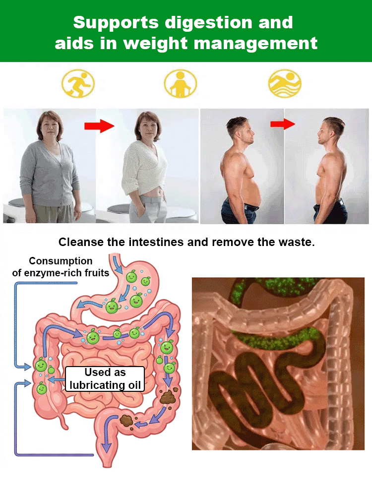 Non-GMO soft-seed pomegranate sapling