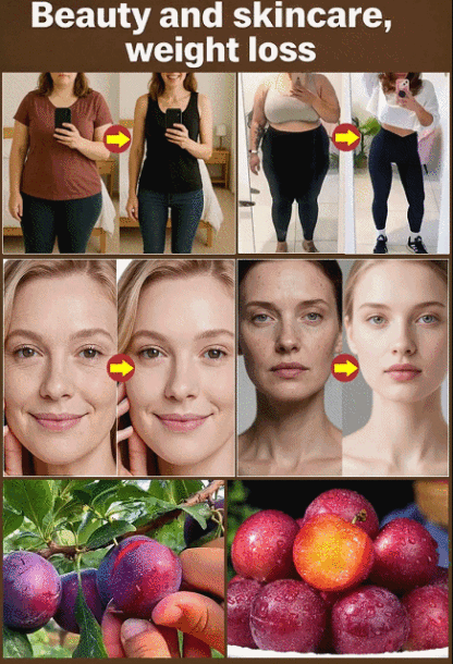 [Rare Variety 10J] Pre-grown Cherry Plum Sapling