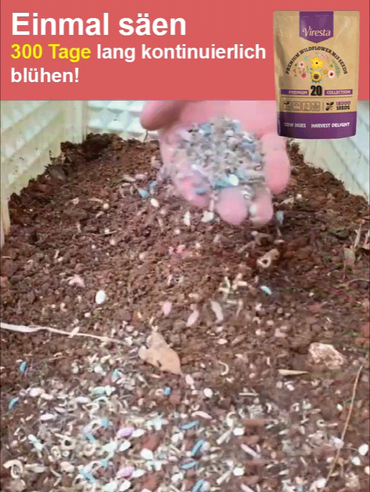 🌸 4-Jahreszeiten-Blumensamen – Bunte Mischung, nie verblüht! 🌱 Keimt in 7 Tagen • 🌺 Blüht in 30 Tagen • ❄️🔥 Gedeiht das ganze Jahr!