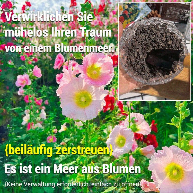 🌸 Premium Doppeltblühende Stockrosen-Samen Mit leuchtenden, auffälligen Blüten – die ideale Wahl für einen traumhaften Garten 🏡 Keimrate bis zu 99 % – volle Rückerstattung, wenn nicht alle Samen keimen! 🌷✨