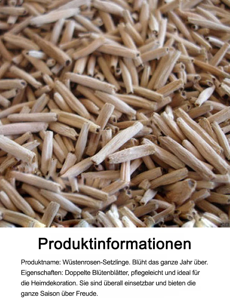 🌵 1. Wüstenrose – Blüht mit nur einem Schluck Wasser!