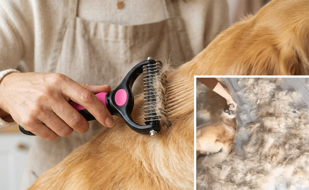 Pet Pro Grooming Tool double-sided design in use
