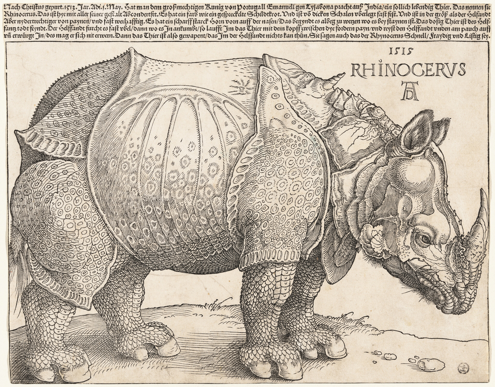 Black contour lines, curved hatching and crosshatching describe a right-facing rhinoceros in Dürer’s woodcut.