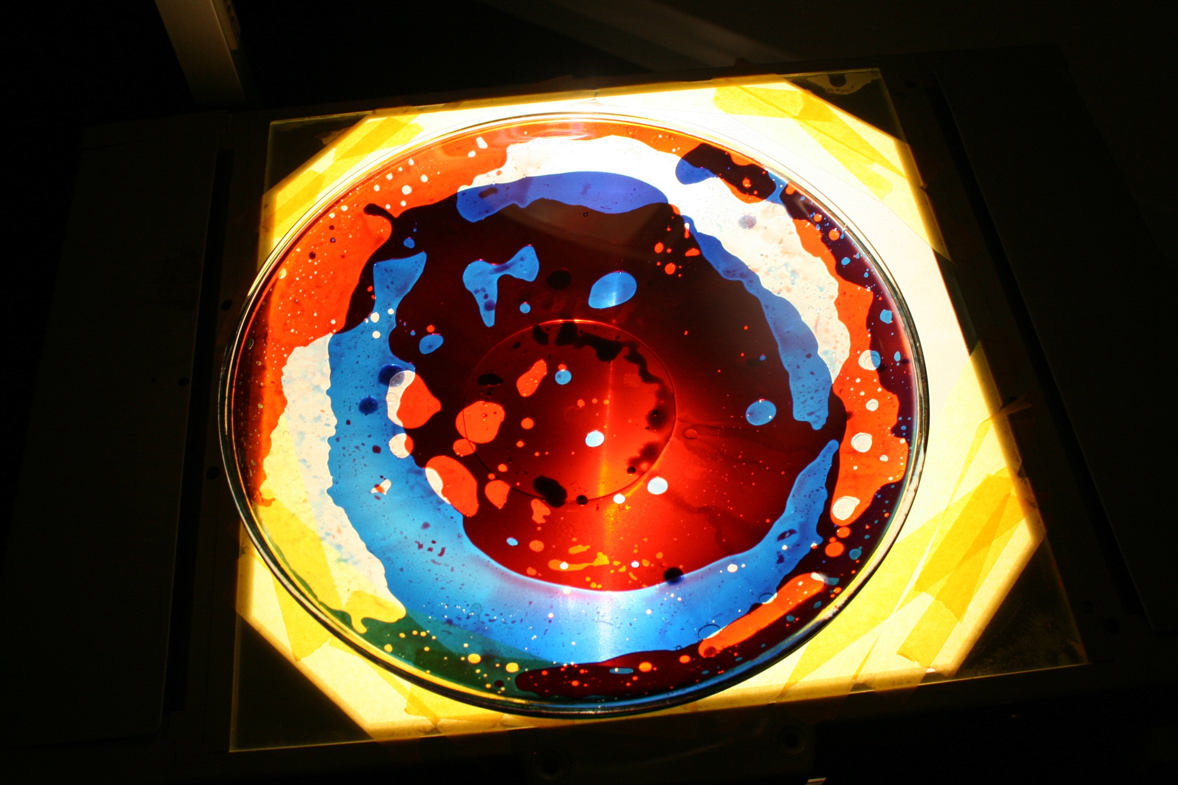 An illuminated circular glass plate containing red, blue and pale liquid forms against a dark surround.