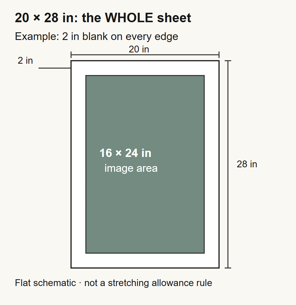 Scaled flat schematic of a 20 by 28 inch sheet containing a 16 by 24 inch image with a 2 inch blank border on each edge.