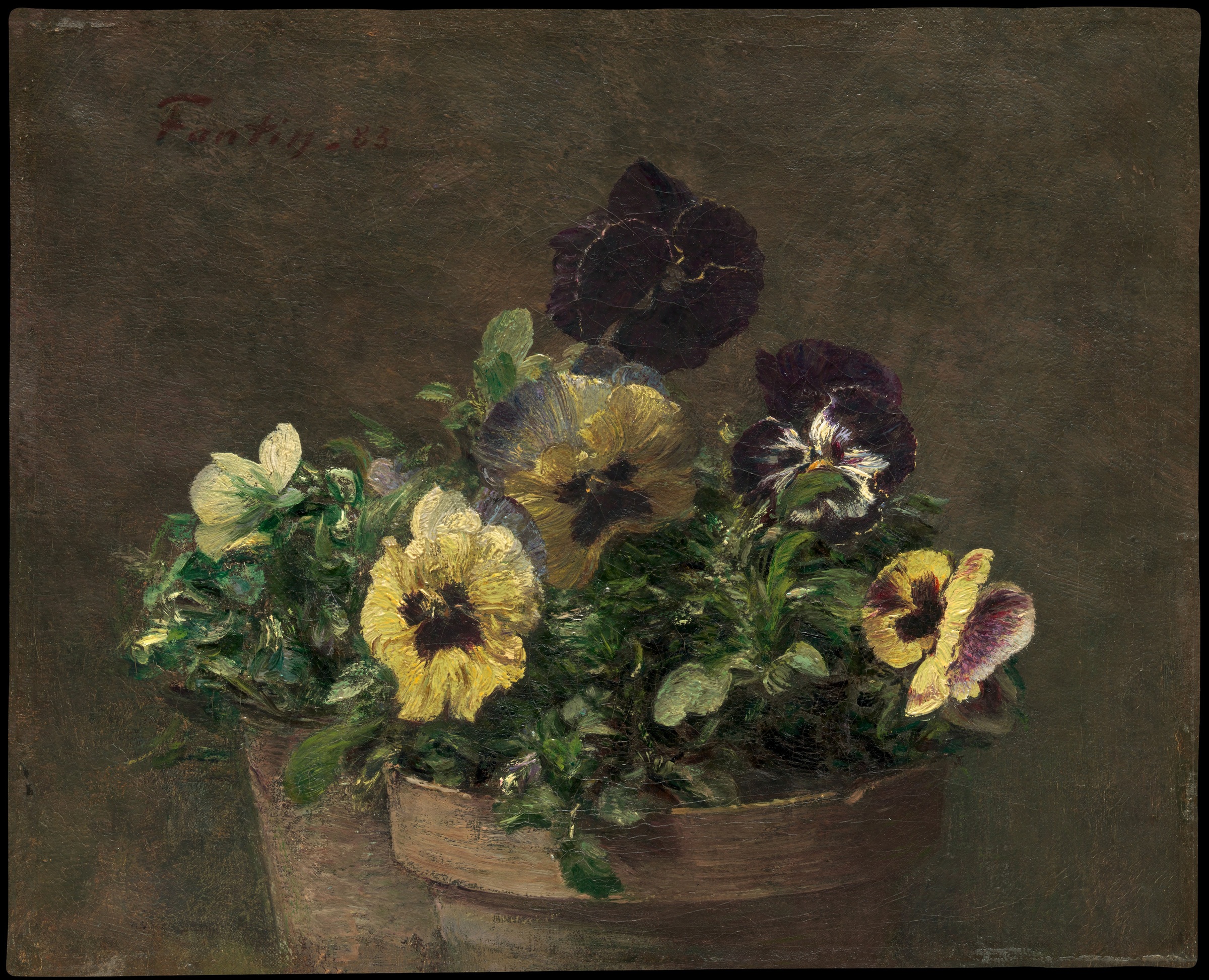 Yellow, cream and dark purple pansies cluster in a low pot against a muted brown background.