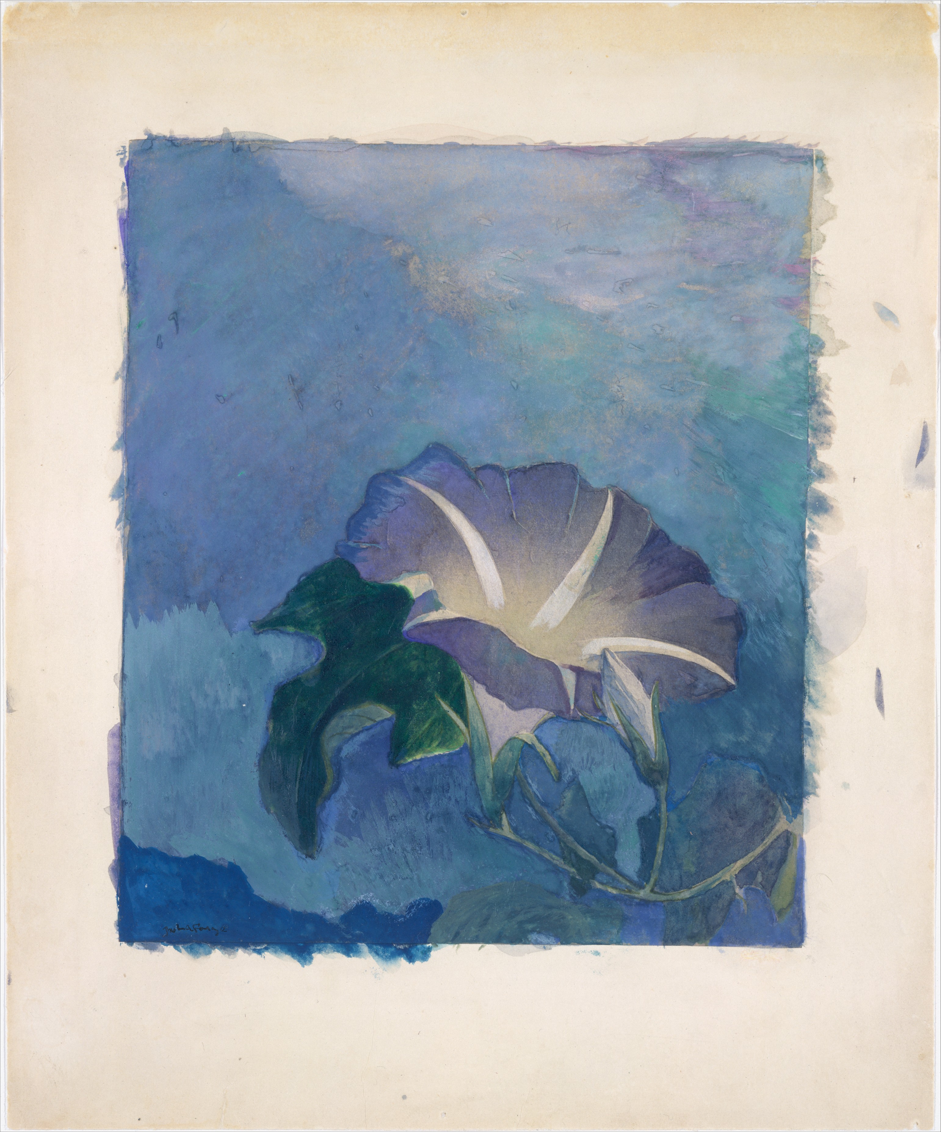 A violet flower with pale curved bands and dark green leaves sits low against a broad blue field that shifts toward teal and violet.