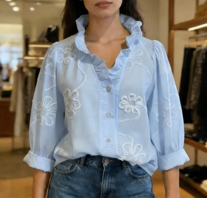 Casual Romantic Ruffled Collar Embroidery Cotton Shirt