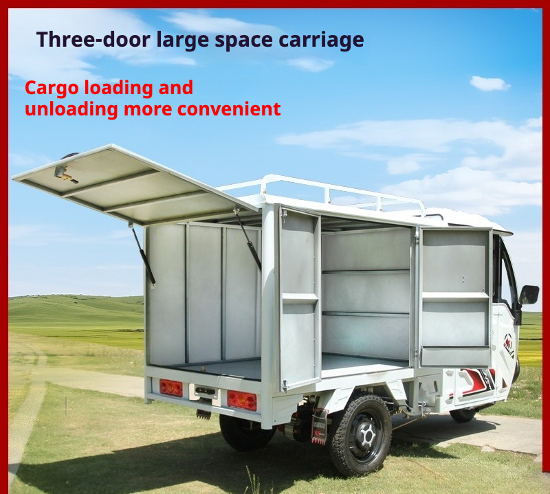Custom All Designs - New Heavy-Duty Electric Cargo Trike with Full Enclosed Delivery Vehicle, 3-Wheel Scooter for Outdoor Recreation