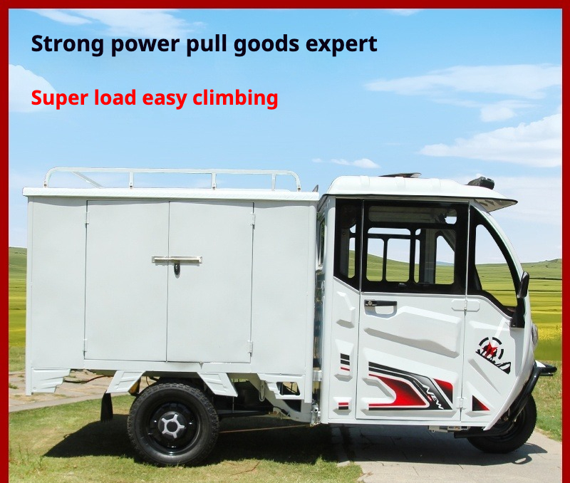 Custom All Designs - New Heavy-Duty Electric Cargo Trike with Full Enclosed Delivery Vehicle, 3-Wheel Scooter for Outdoor Recreation