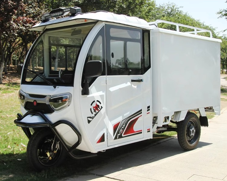 Custom All Designs - New Heavy-Duty Electric Cargo Trike with Full Enclosed Delivery Vehicle, 3-Wheel Scooter for Outdoor Recreation