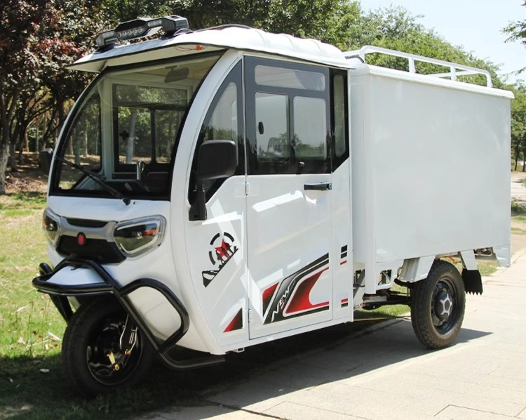 Custom All Designs - New Heavy-Duty Electric Cargo Trike with Full Enclosed Delivery Vehicle, 3-Wheel Scooter for Outdoor Recreation