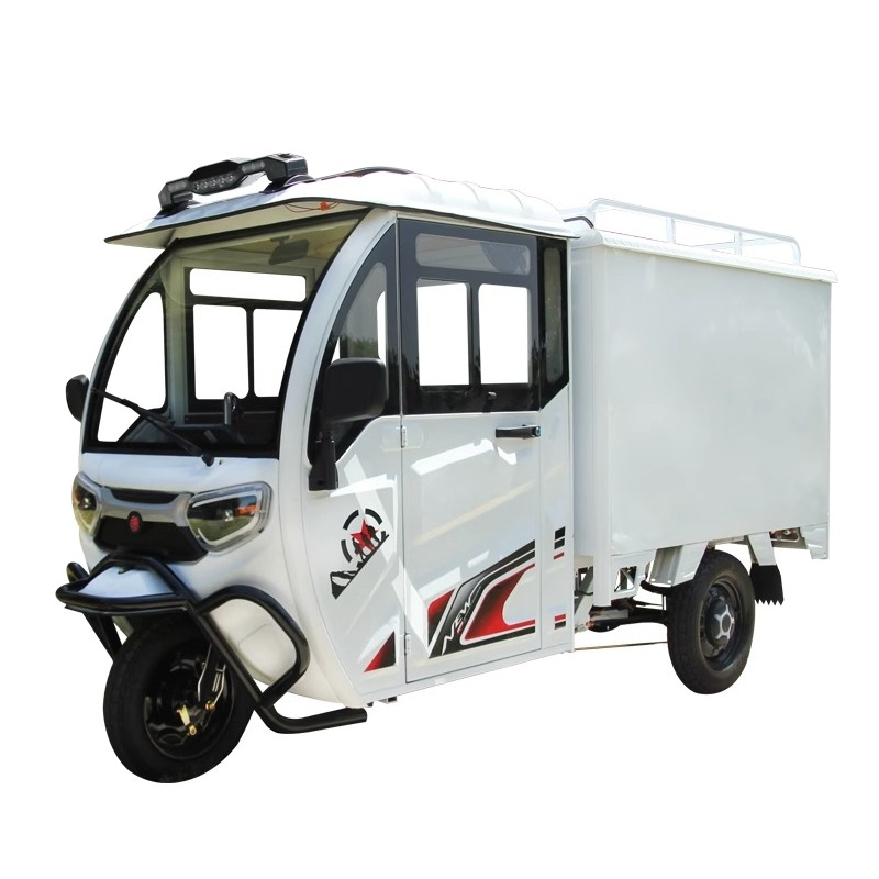 Custom All Designs - New Heavy-Duty Electric Cargo Trike with Full Enclosed Delivery Vehicle, 3-Wheel Scooter for Outdoor Recreation