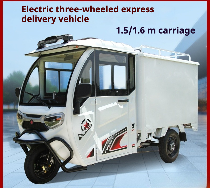Custom All Designs - New Heavy-Duty Electric Cargo Trike with Full Enclosed Delivery Vehicle, 3-Wheel Scooter for Outdoor Recreation