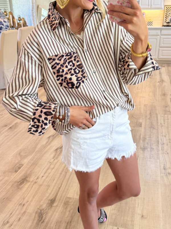 Brown Leopard Print Stripe Long Sleeve Top