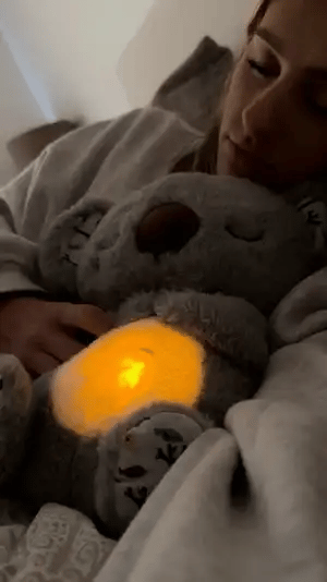 考拉毛绒玩具图片 1