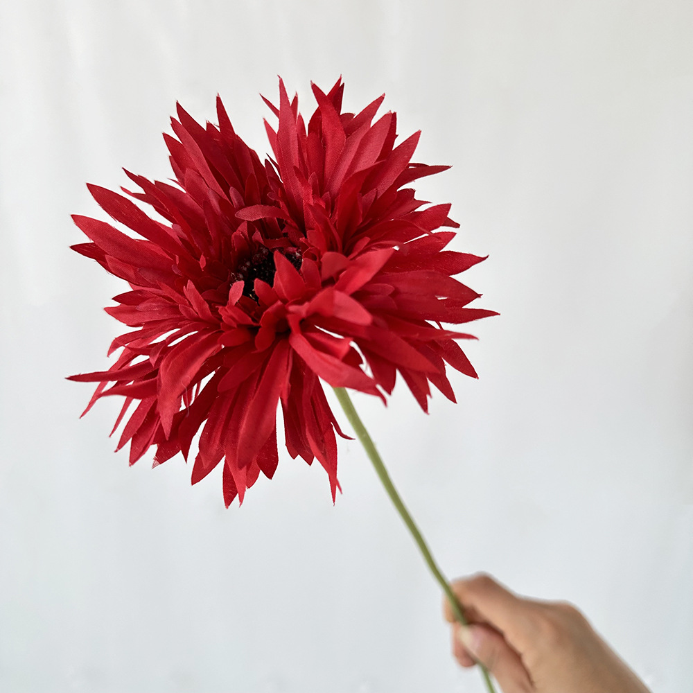 🌼2025 Hot Sale🔥Realistic Artificial Spider Gerbera Daisies💐
