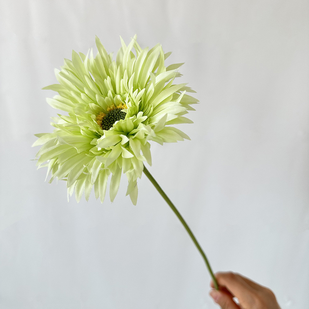 🌼2025 Hot Sale🔥Realistic Artificial Spider Gerbera Daisies💐